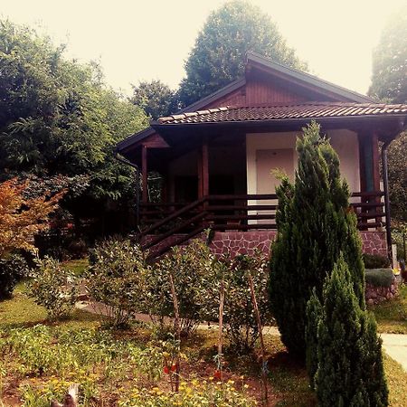 Sunny Paradise Bihac Exterior photo