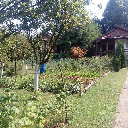 Sunny Paradise Bihac Exterior photo
