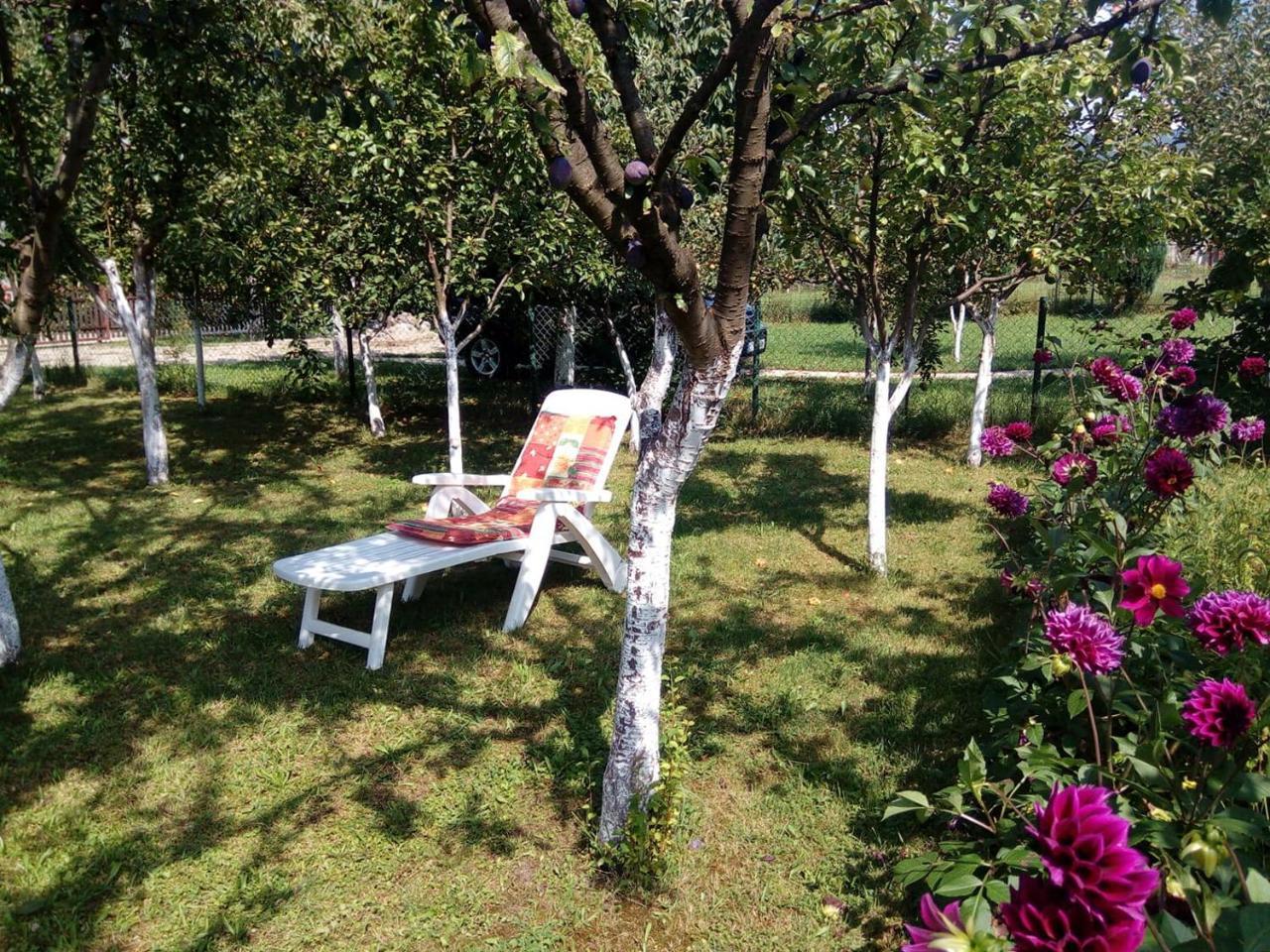 Sunny Paradise Bihac Exterior photo