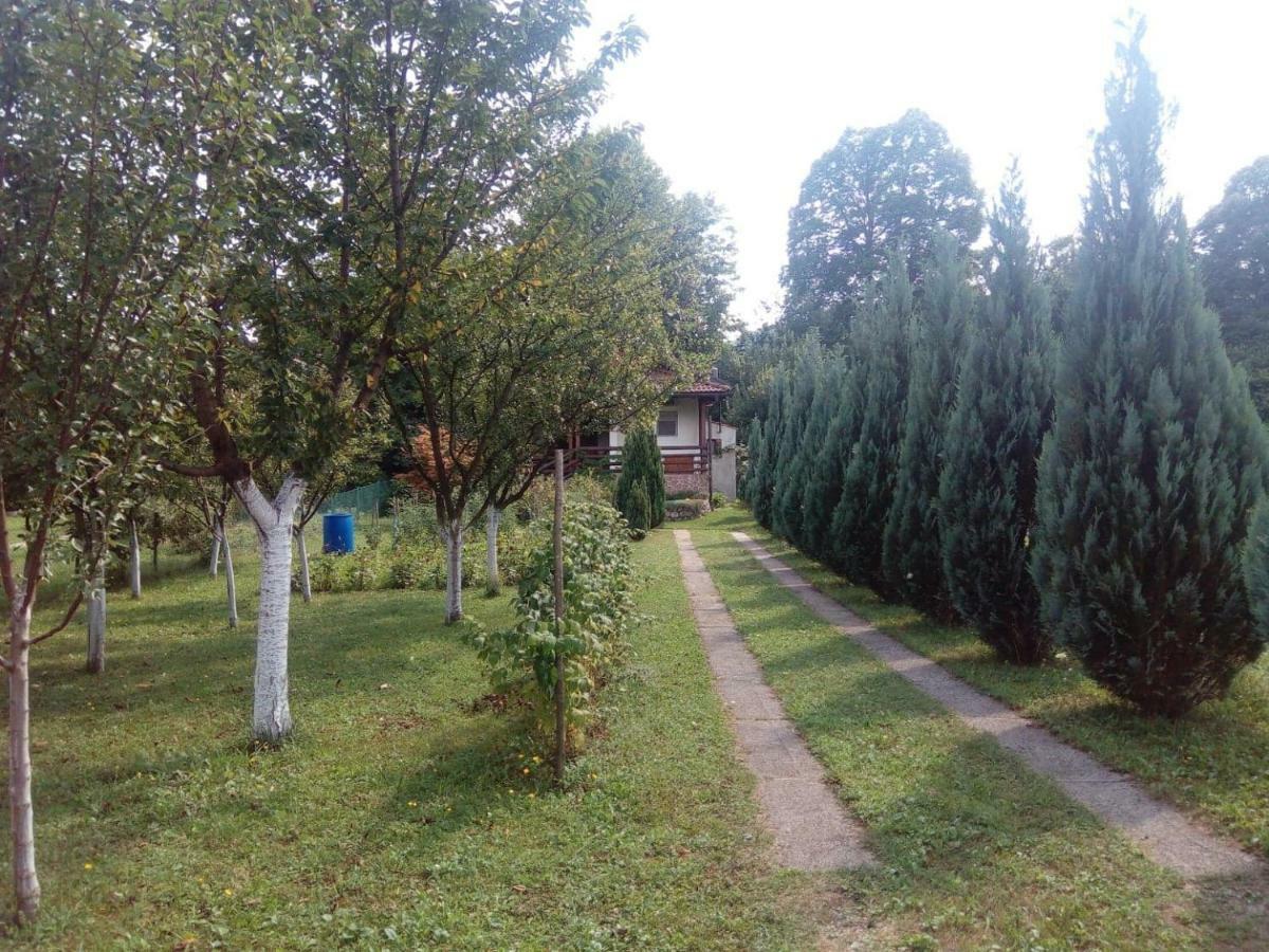 Sunny Paradise Bihac Exterior photo